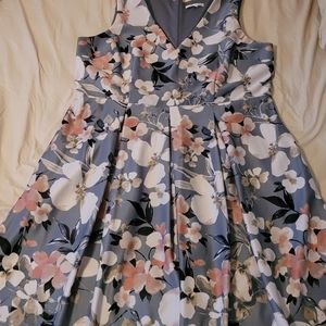 Sandra Darren Dress